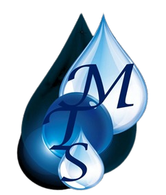 Mathonsi Technology Services